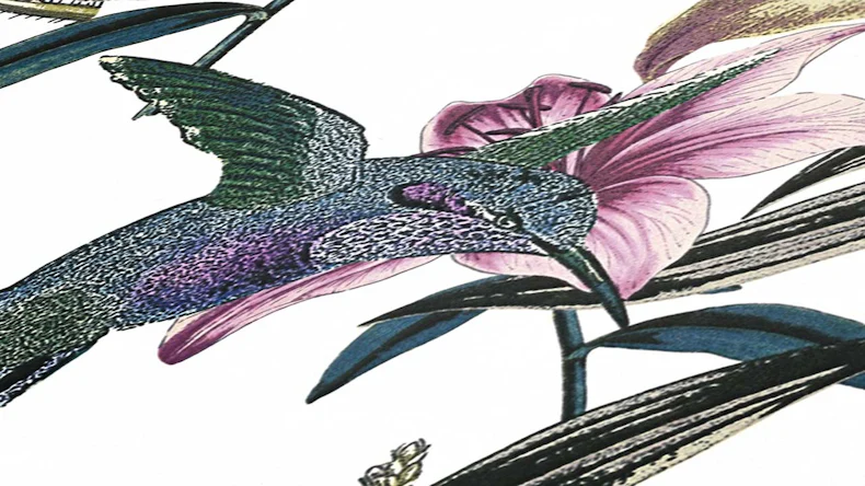 Vliestapete Jungle Chic Blumen & Natur Retro Bunt 11