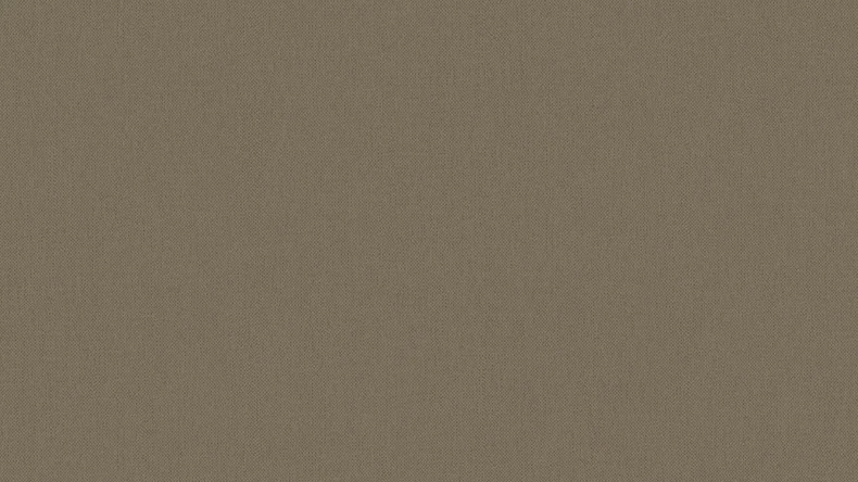 Vliestapete Floral Impression Uni Klassisch Braun 481