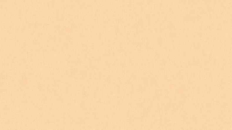 Vliestapete Floral Impression Uni Klassisch Orange 494