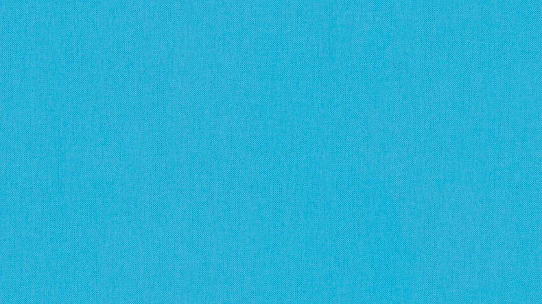 Vliestapete Floral Impression Uni Klassisch Blau 498