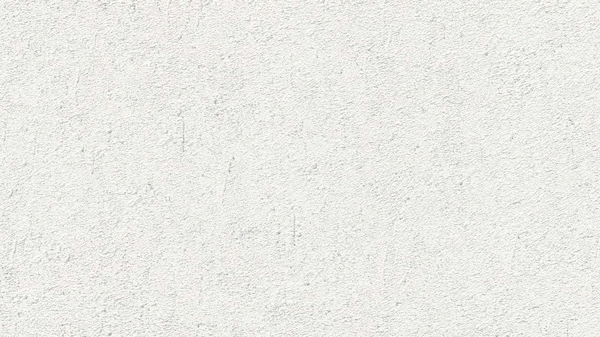 Vinyl wallpaper Attractive Concrete Classic White 642