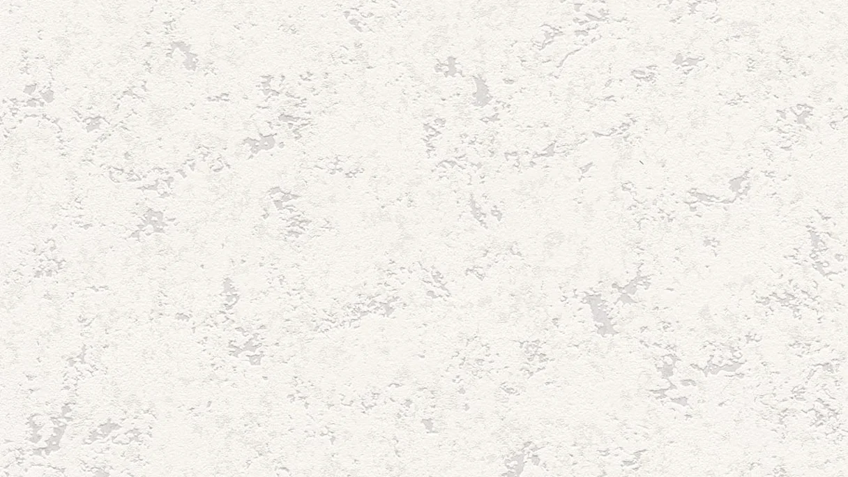 Vinyl wallpaper Attractive Concrete Classic White 715