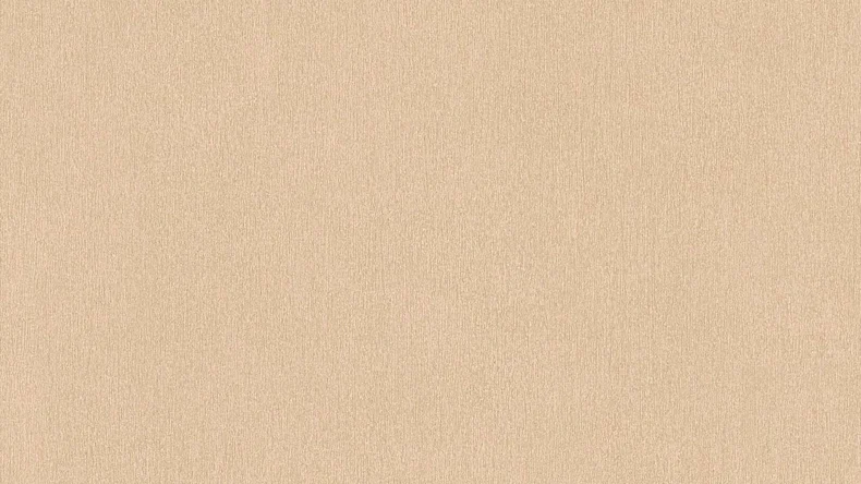 Vliestapete Dream Flowery Uni Klassisch Beige 686