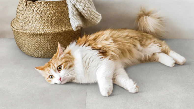 Vinyle à clic Gerflor - Senso Premium Rigid Acoustic Pepper light | Isolation phonique intégrée (39480890)