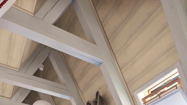 MeisterPanels lambris décor - Terra DP 250 Lumière d'acacia 4012