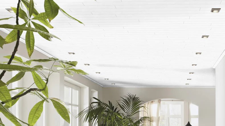 Meister Paneele - Terra DP 250 2,05m Finel weiß (300004-2050250-04017)