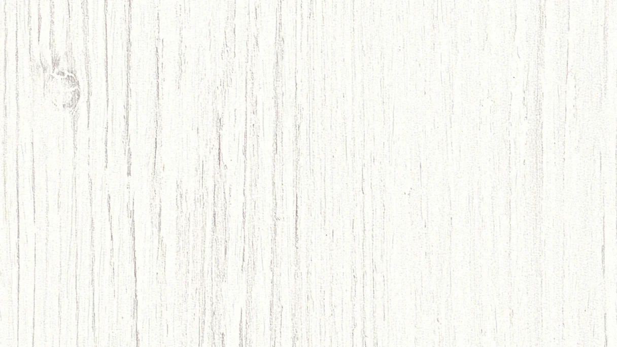 Meister Paneele - Terra DP 250 2,05m White Pine (300004-2050250-04088)
