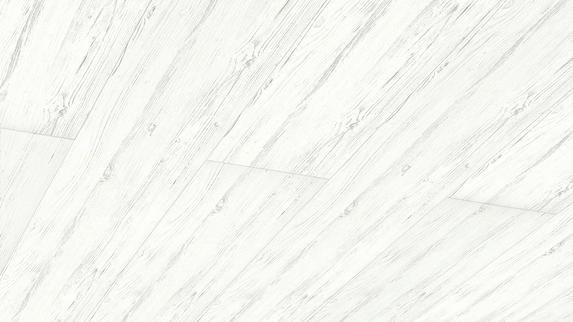 Meister Paneele - Terra DP 250 1,28m White Pine (300004-1280250-04088)