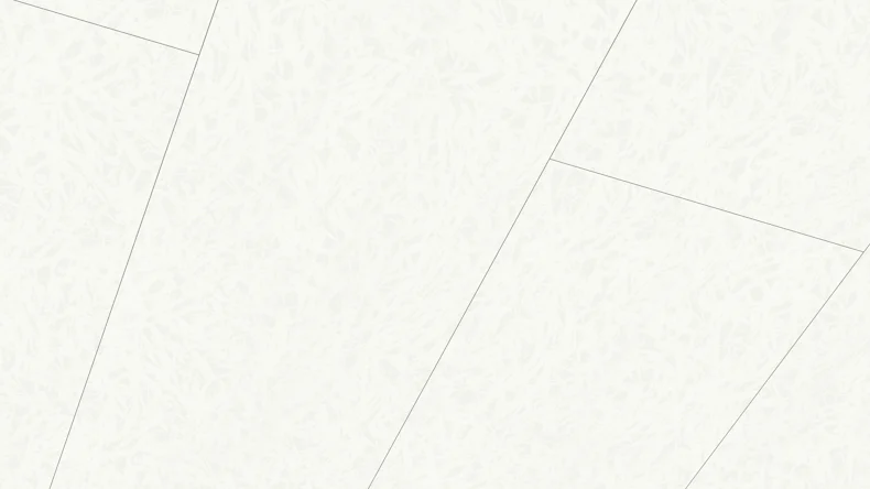 Meister Paneele - Terra DP 250 1,28m Duo Gloss White 4089 (300004-1280250-04089 - 4040124089)