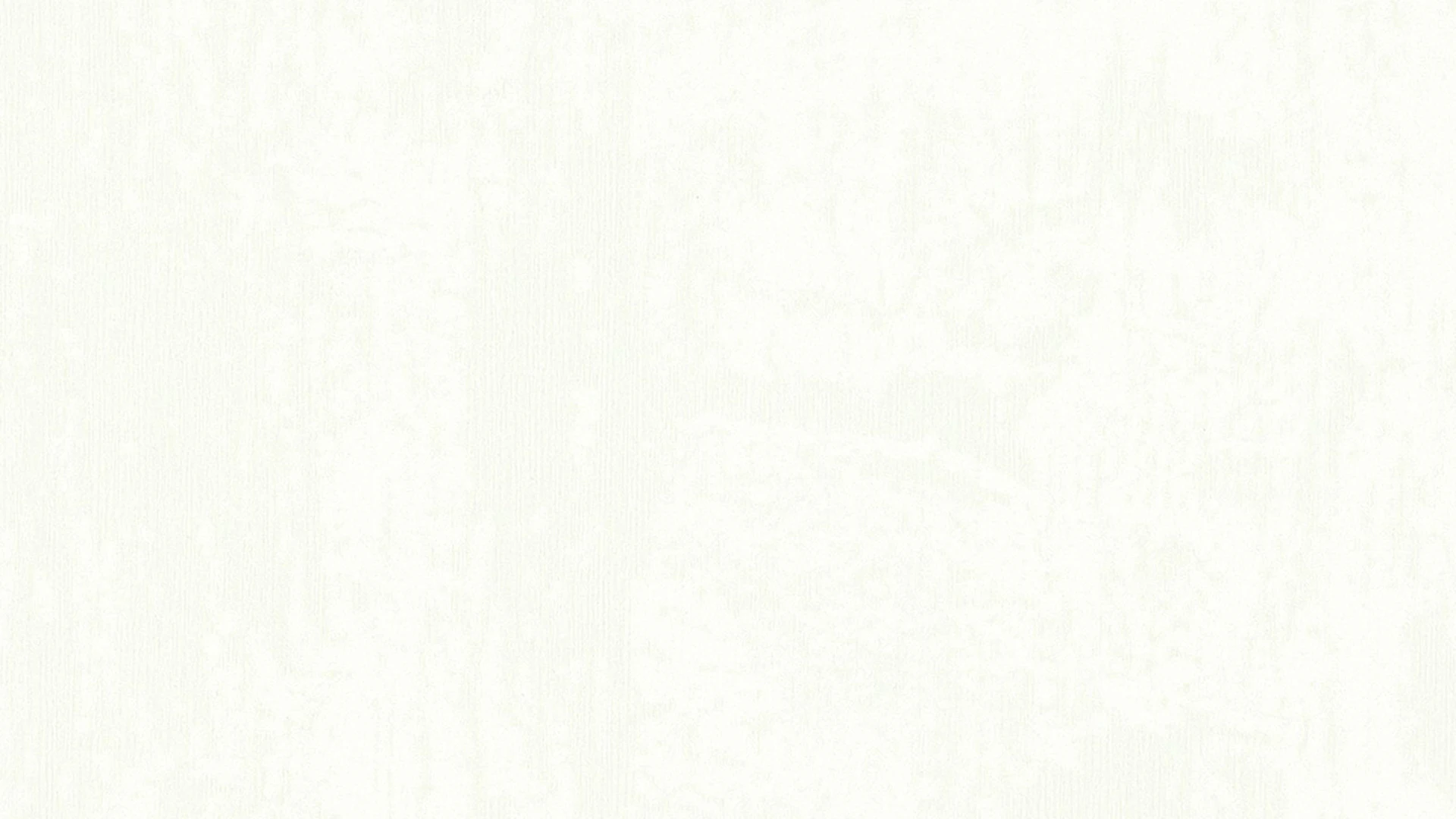 Meister Paneele - Terra DP 250 1,28m Vintage weiß (300004-1280250-04091)