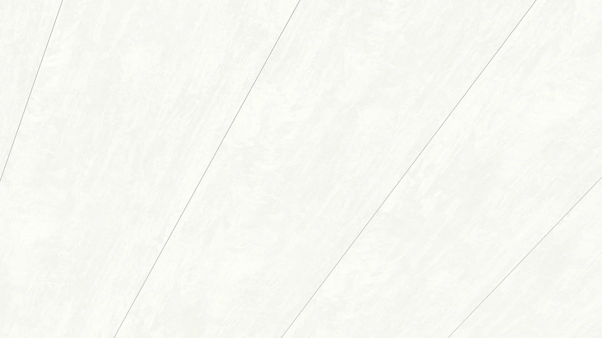 Meister Paneele - Terra DP 250 2,05m Vintage weiß (300004-2050250-04091)