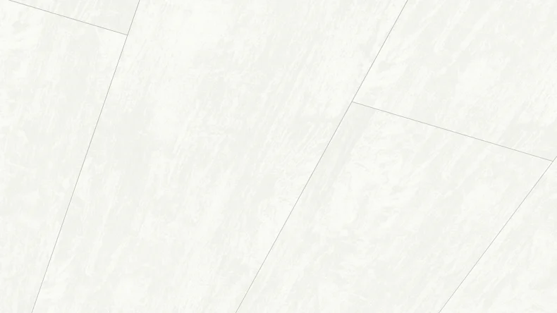 MeisterPanels lambris décor - Terra DP 250 Blanc vintage 4091