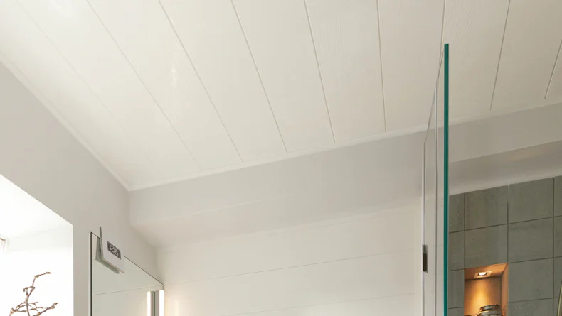 Meister Paneele - Terra DP 200 Pinie Hochglanz 4092