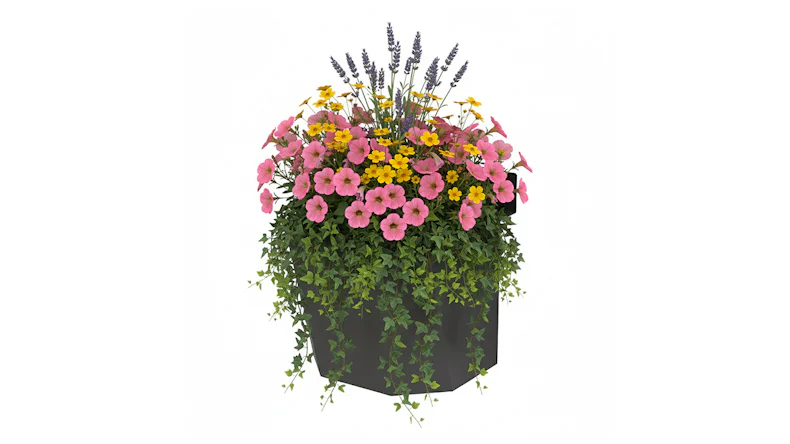 planeo Vario - Blumenbox 3