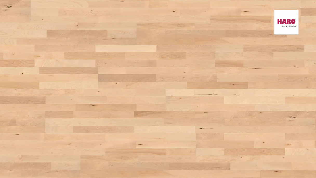 Haro Parquet Flooring - Series 4000 permaDur Canadian Maple Tundra (524406)