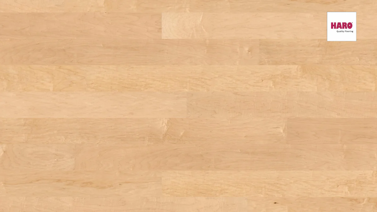 Haro Parquet Flooring - Series 4000 permaDur Canadian Maple Markant (524916)
