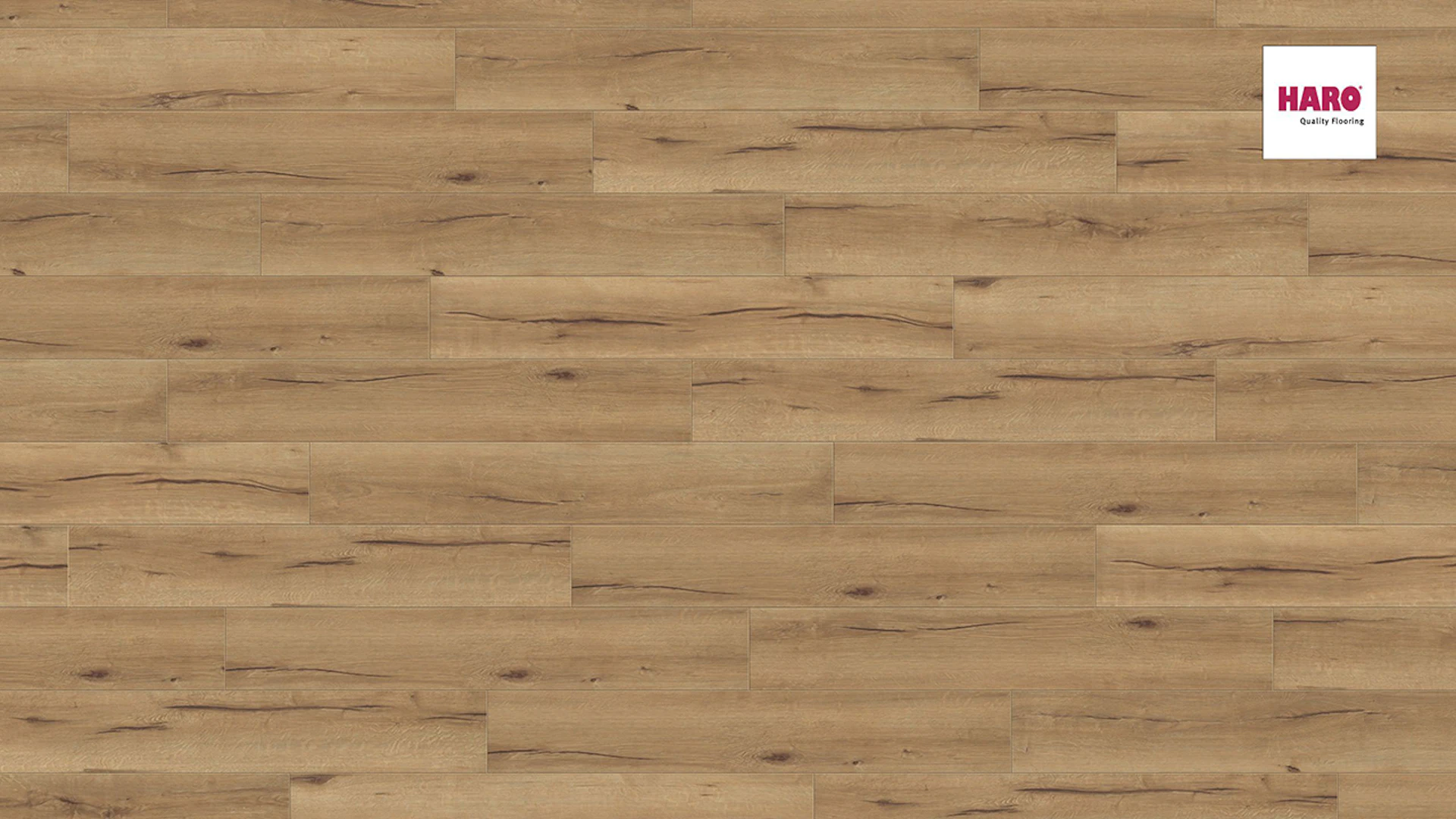 HARO click cork flooring Corkett Arteo XL Oak Italica natural
