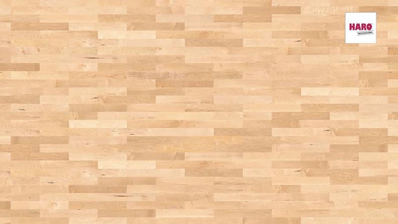 Haro Parkett - Serie 4000 Stab Allegro permaDur Canadischer Ahorn Favorit (537899)