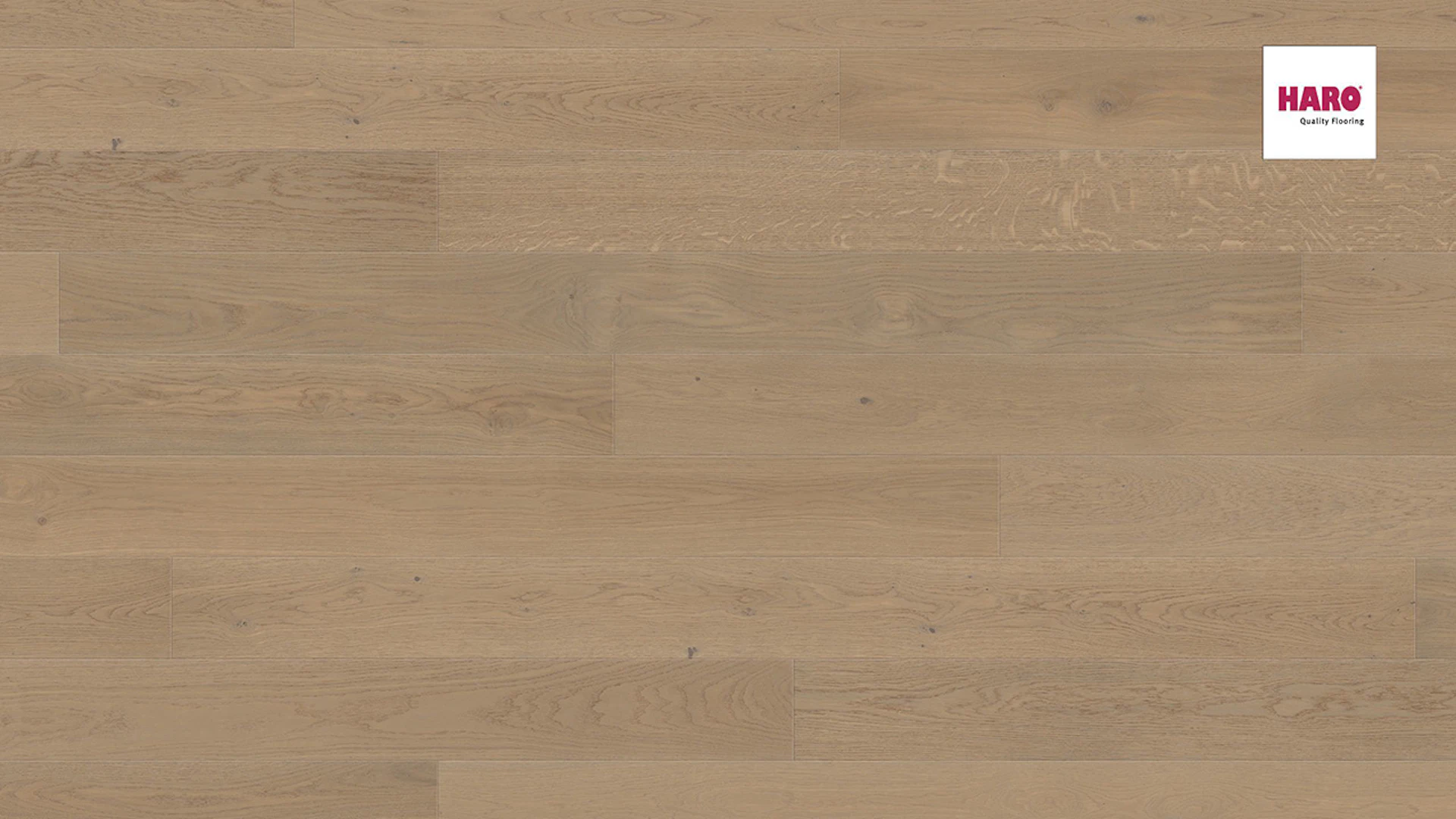 Haro Parquet Flooring - Serie 4000 4V naturaLin plus Oak sand gray Markant (538943)