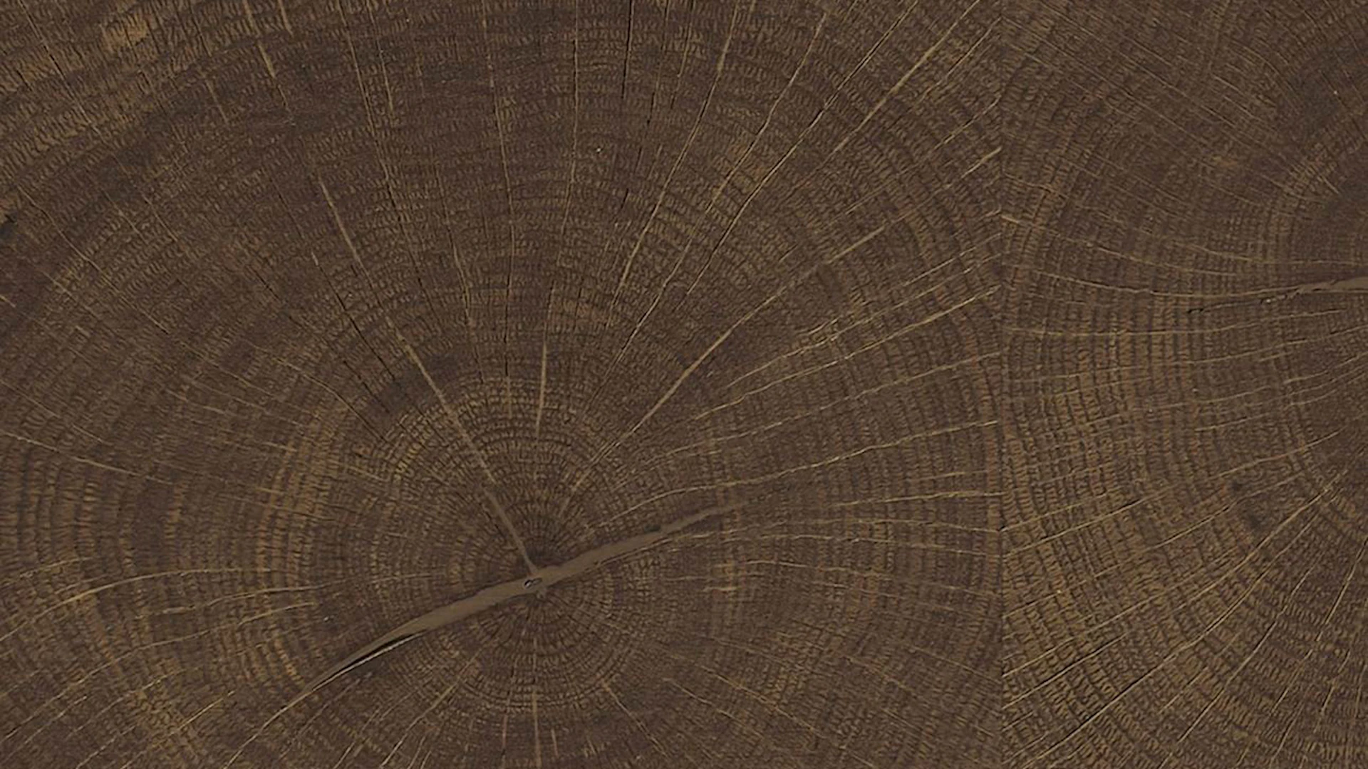 Haro Parquet Flooring - Parquet Manufacture oleovera Carré Oak antique brown Selectiv (539076)
