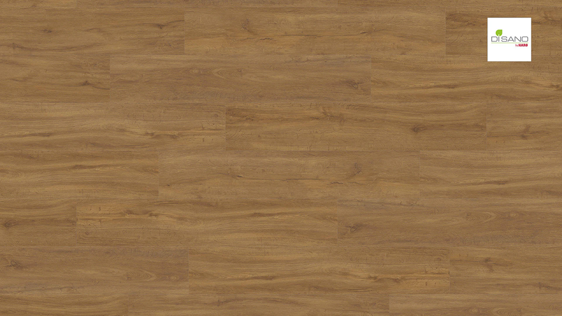 Haro Organic Flooring - Disano Saphir 4VM Mountain oak (540068)