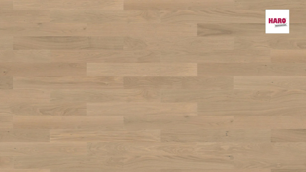 Haro Parquet Flooring - Series 4000 Stab Prestige naturaLin plus Oak sand gray Markant (540159)