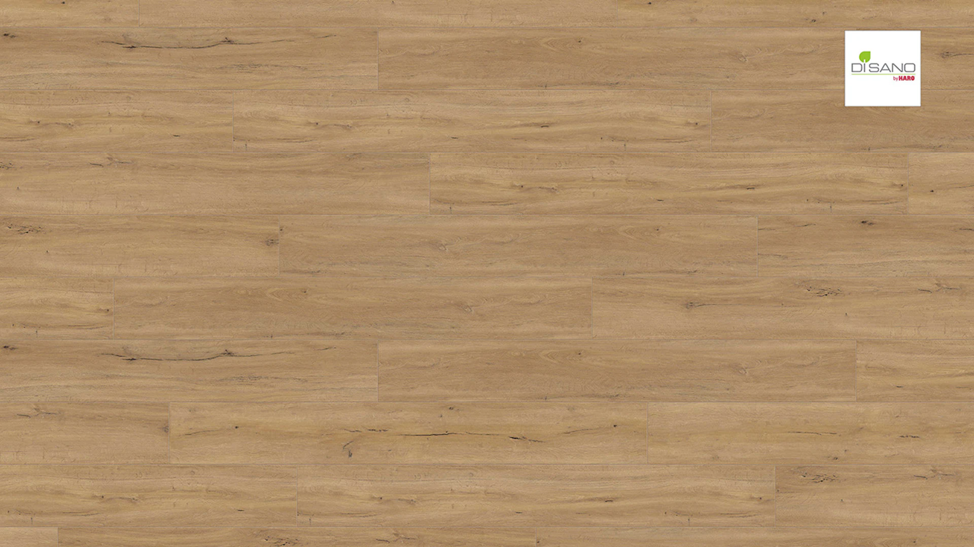 Haro Organic Flooring - Disano LifeAqua XL 4V Oak Columbia natural (540375)