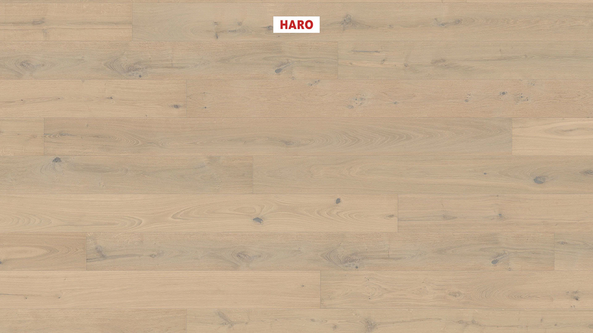 Haro Parquet Flooring - Series 4000 NF Stab LA Maxim 4V naturaLin plus Oak light white Sauvage (540991)
