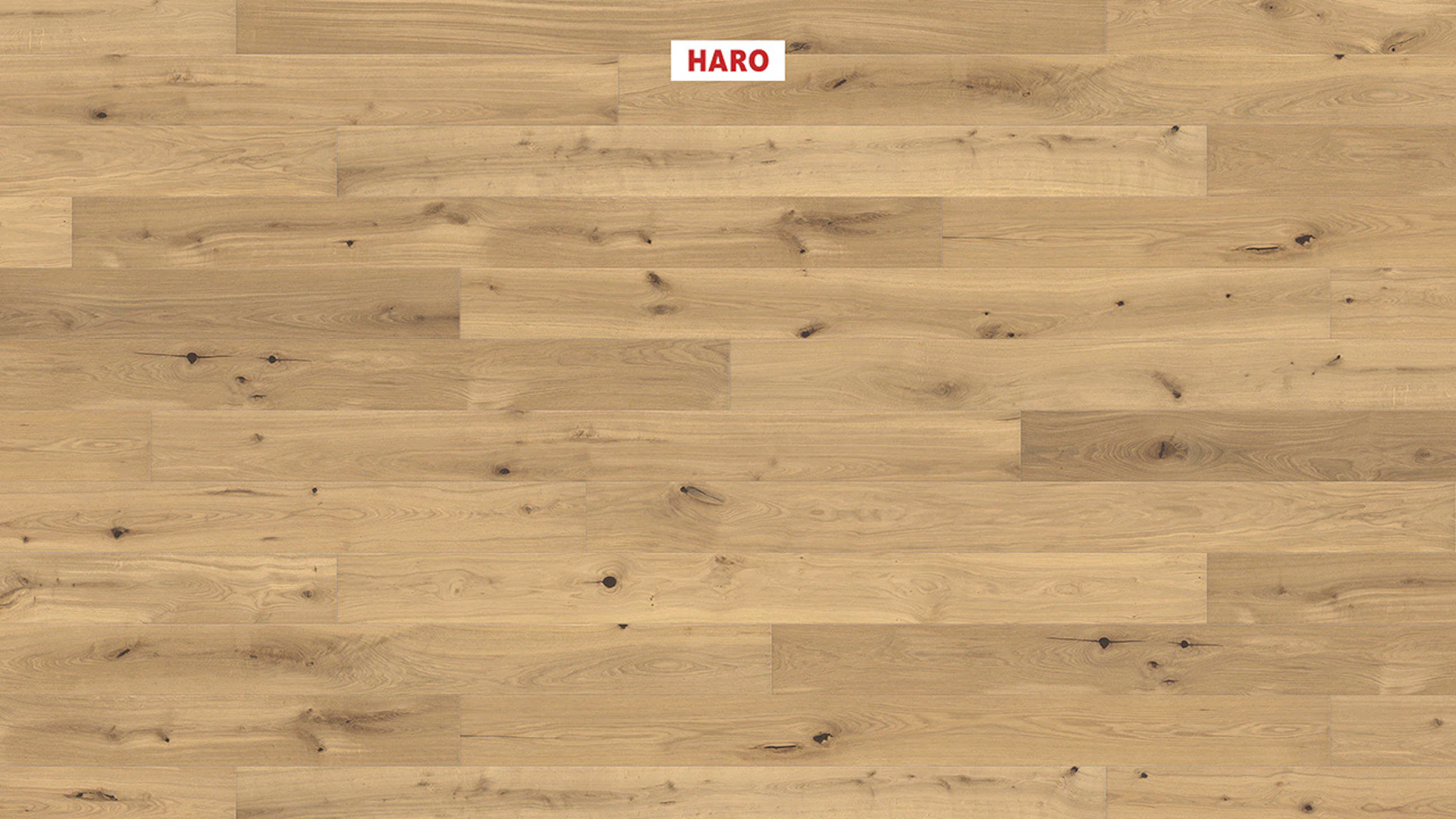 Haro Parquet Flooring - Series 4000 NF Stab LA Maxim 4V naturaLin plus Oak invisible Sauvage (540993)
