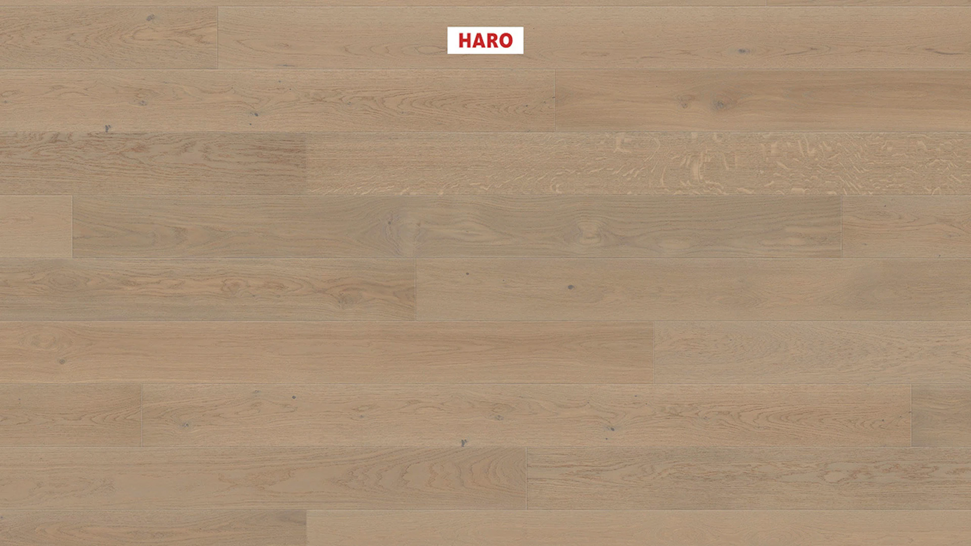 Haro Parquet Flooring - Series 4000 NF Stab LA Maxim 4V naturaLin plus Oak sand gray Markant (540994)