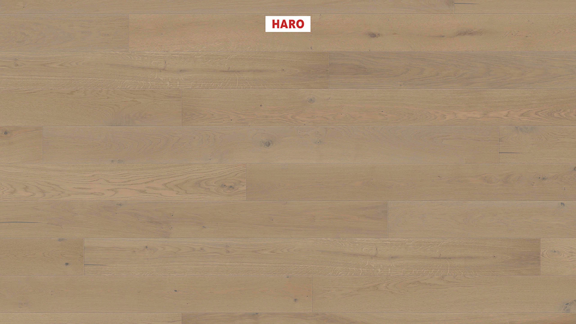 Haro Parquet Flooring - Series 4000 NF Stab LA Maxim 4V naturaLin plus Oak sand gray Sauvage (540995)