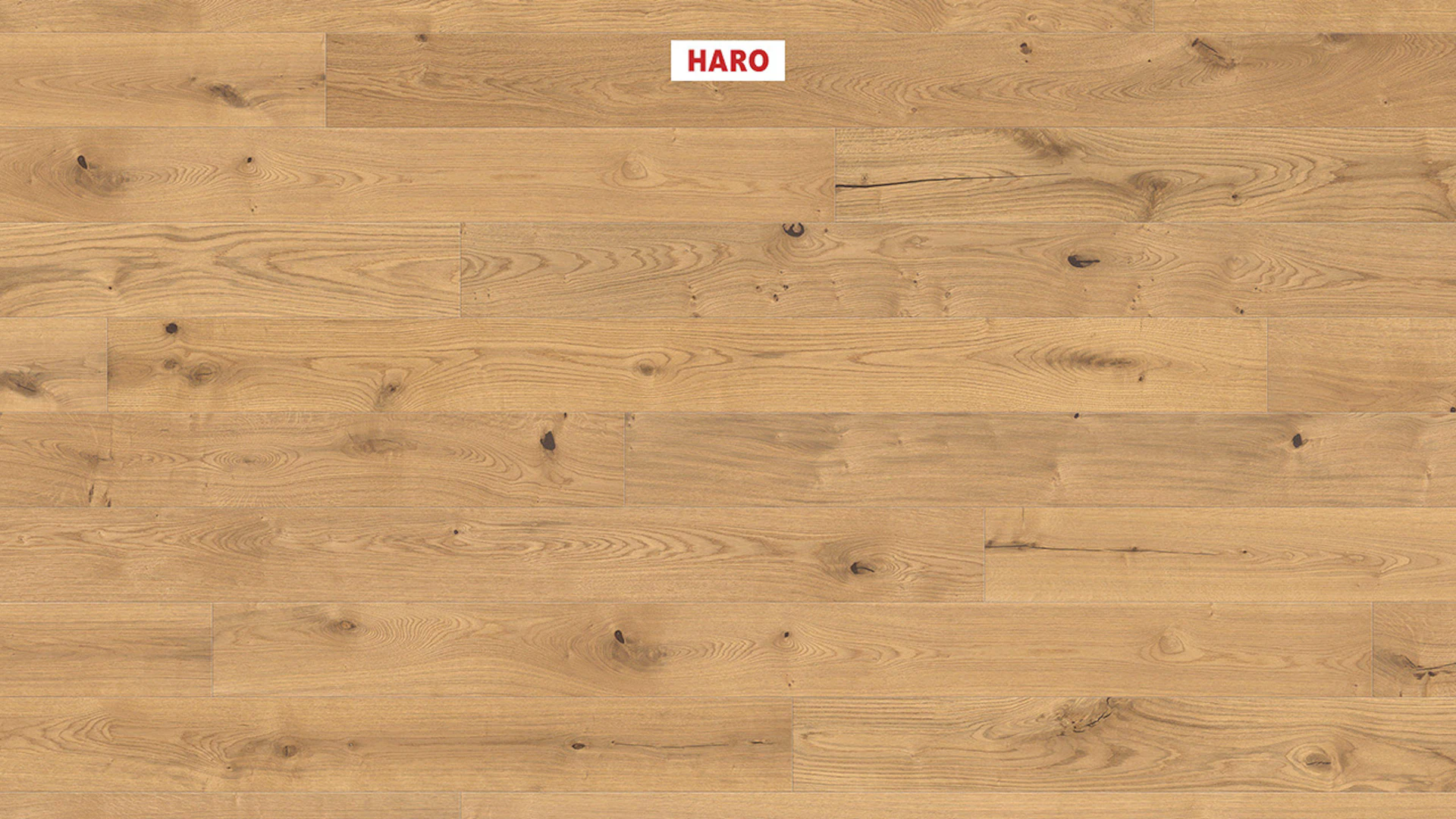 Haro Parquet Flooring - Series 4000 NF Stab LA Maxim 4V naturaDur Oak Sauvage (541005)