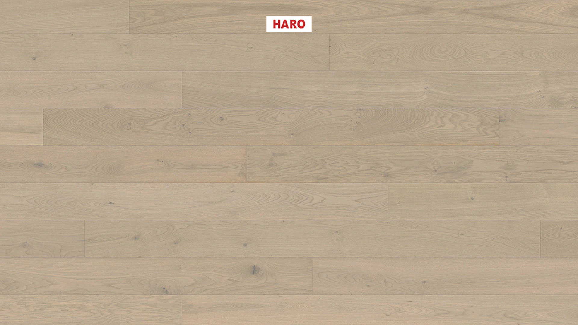 Haro Parquet Flooring - Series 4000 NF Stab LA Maxim 4V naturaDur Oak sand gray Markant (541006)