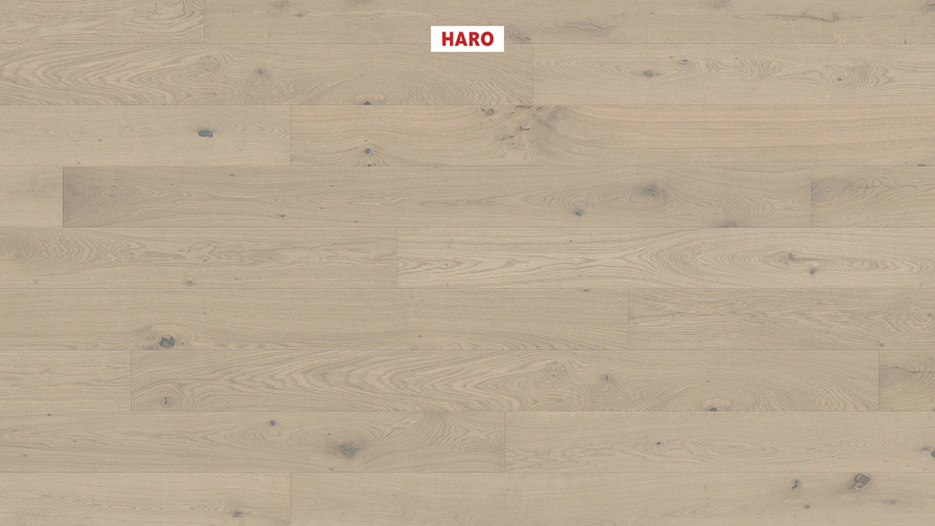 Haro Parquet Flooring - Series 4000 NF Stab LA Maxim 4V naturaDur Oak sand gray Sauvage (541007)
