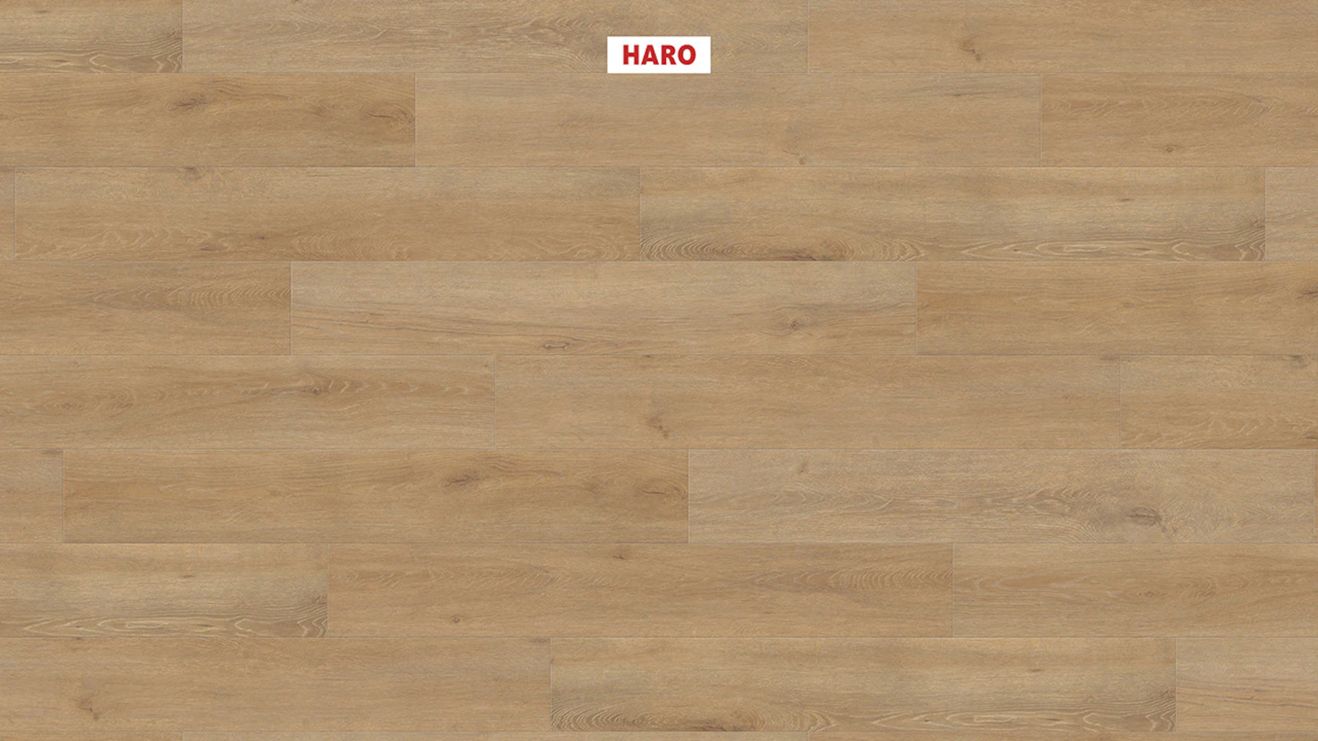 Haro Tritty 100 - TC LA 4V Oak Veneto natural authentic matt (541478)