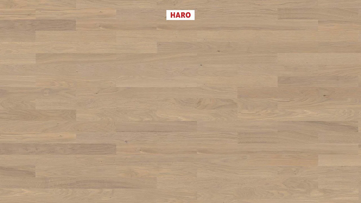 Haro Parquet Flooring - Series 4000 NF Stab Allegro naturaLin plus Oak sand gray Naturale (543500)