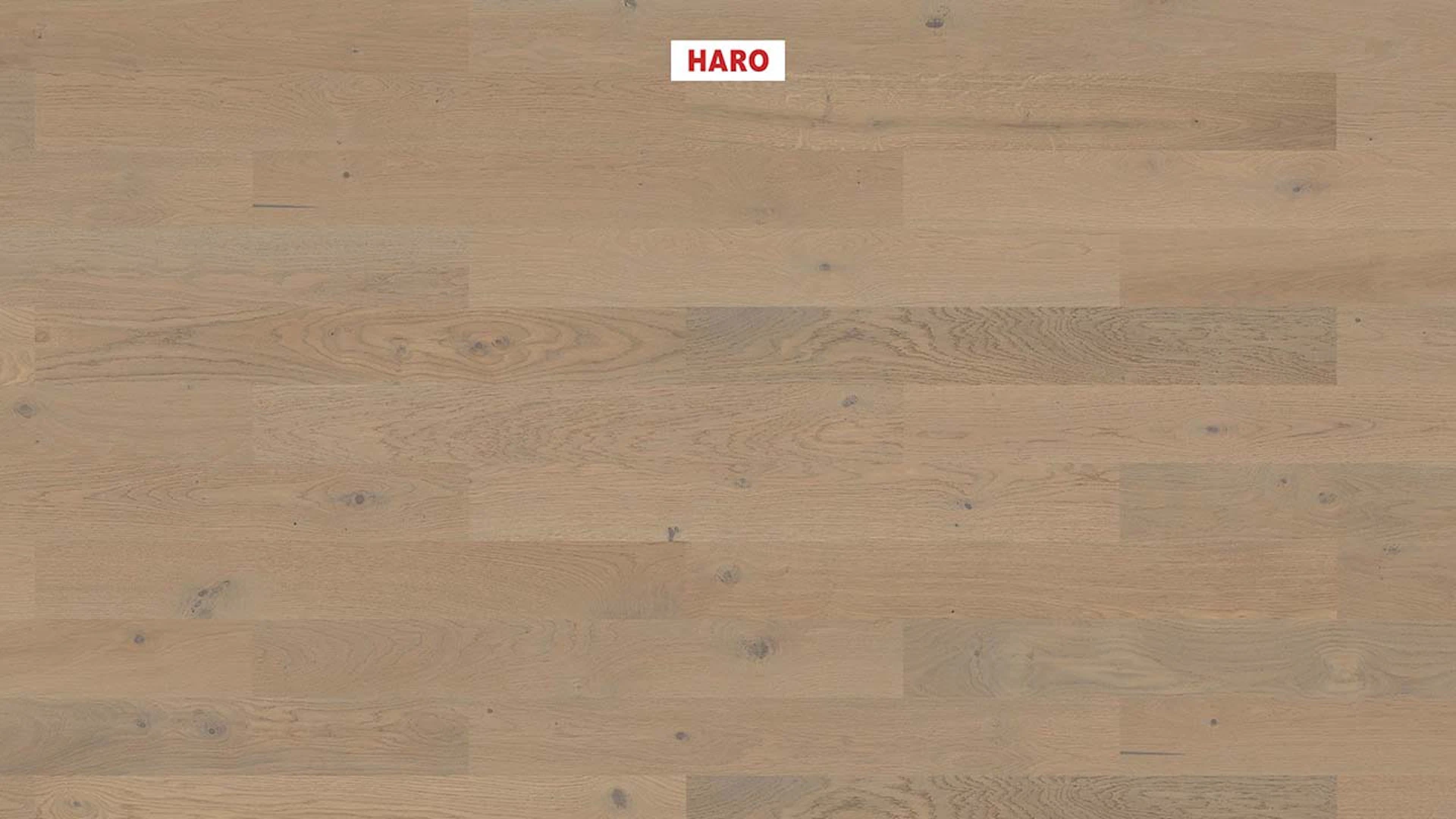 Haro Parquet Flooring - Series 4000 NF Stab LA Prestige naturaLin plus Oak sand gray Sauvage (543510)