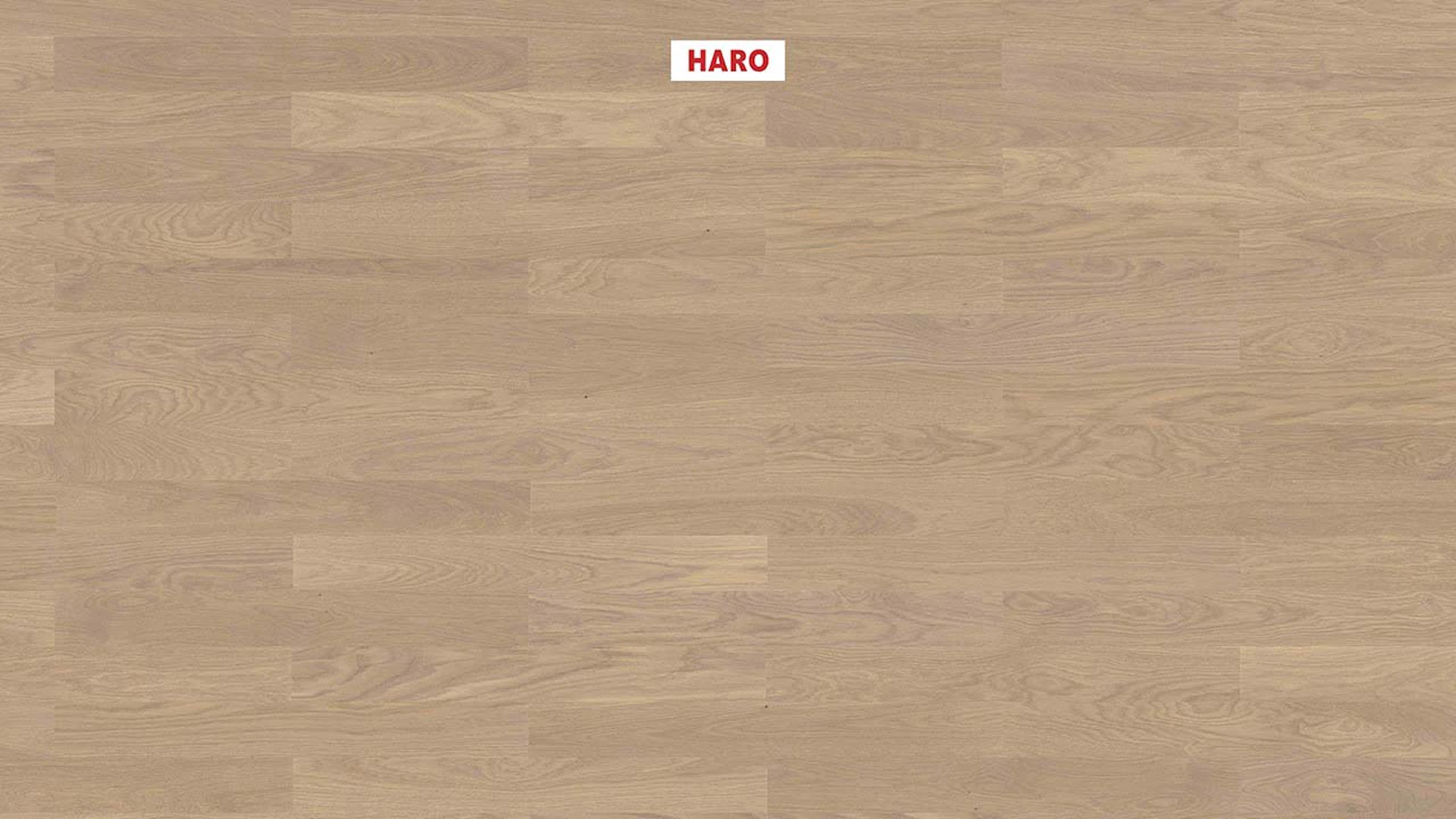 Haro Parquet Flooring - Series 4000 NF Stab Classico naturaDur Oak sand gray Naturale (543553)