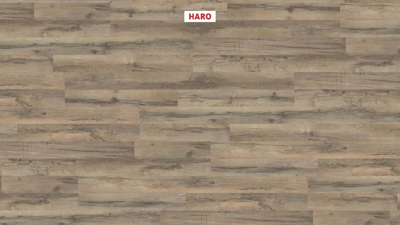 HARO Laminat Sondered. NKL31 TC 2-Stab Graphiteiche strukt. matt