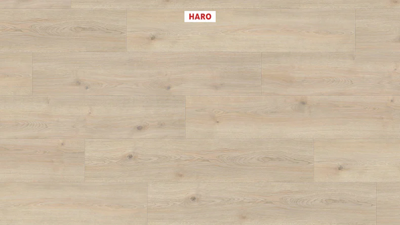 HARO TRITTY 100 SP TC Campus 4V Eiche Contura steingrau auth.