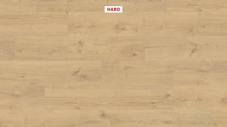 HARO TRITTY 100 Silent CT TC Campus 4V Oak Portland puro auth.