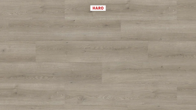 HARO TRITTY 100 Silent CT TC Campus 4V Eiche Flavia grau auth.