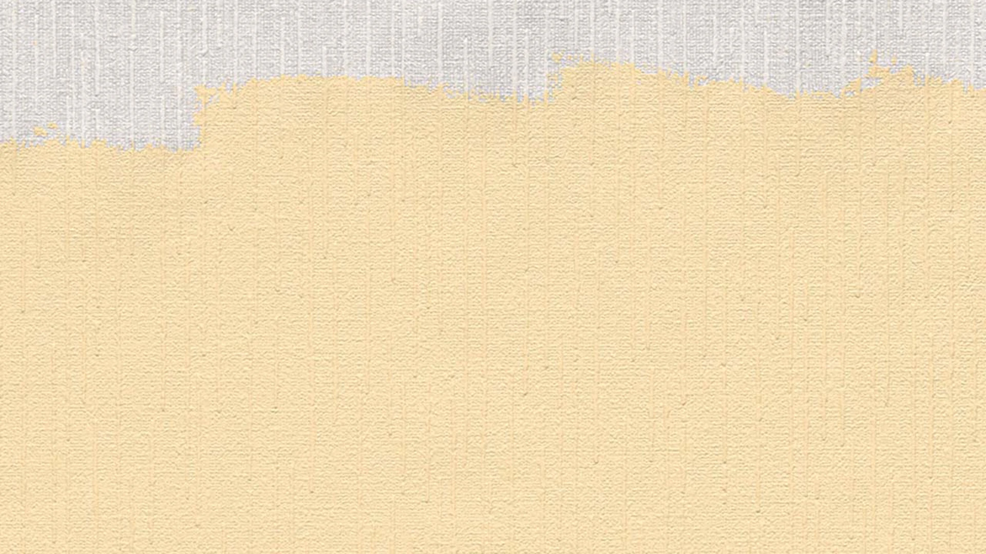 vinyl wallcovering textured wallpaper white modern plains Meistervlies 2020 113