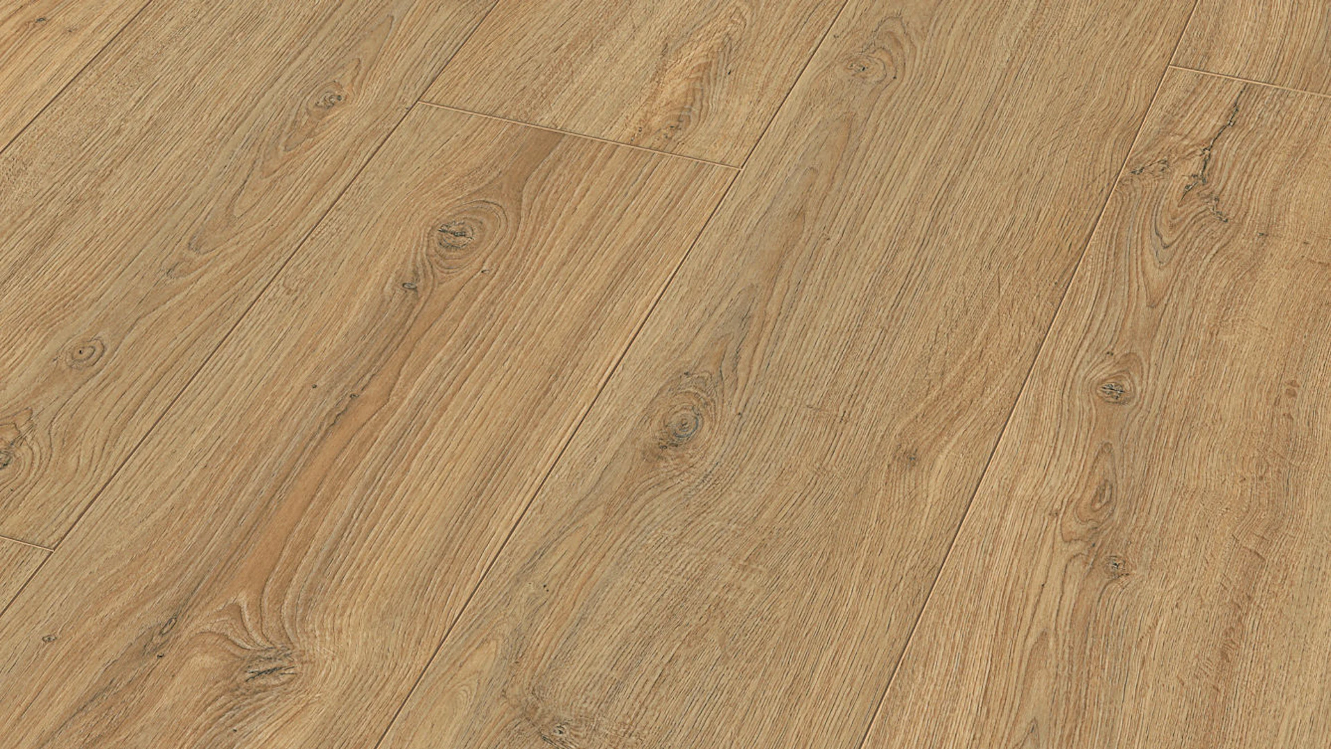 MEISTER Laminate flooring - MeisterDesign LL 150 S Oak Nova 6413