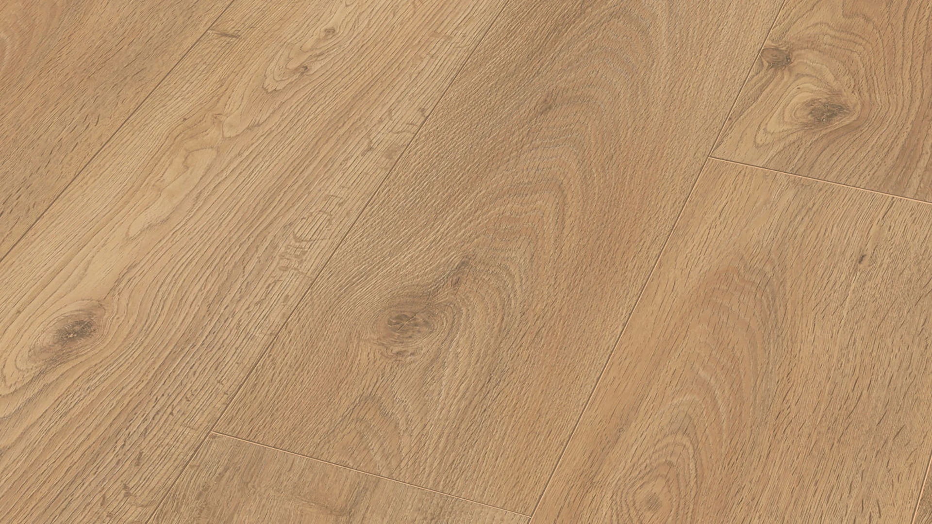 MEISTER Laminate flooring - MeisterDesign LL 250 Oak Bargello 6423