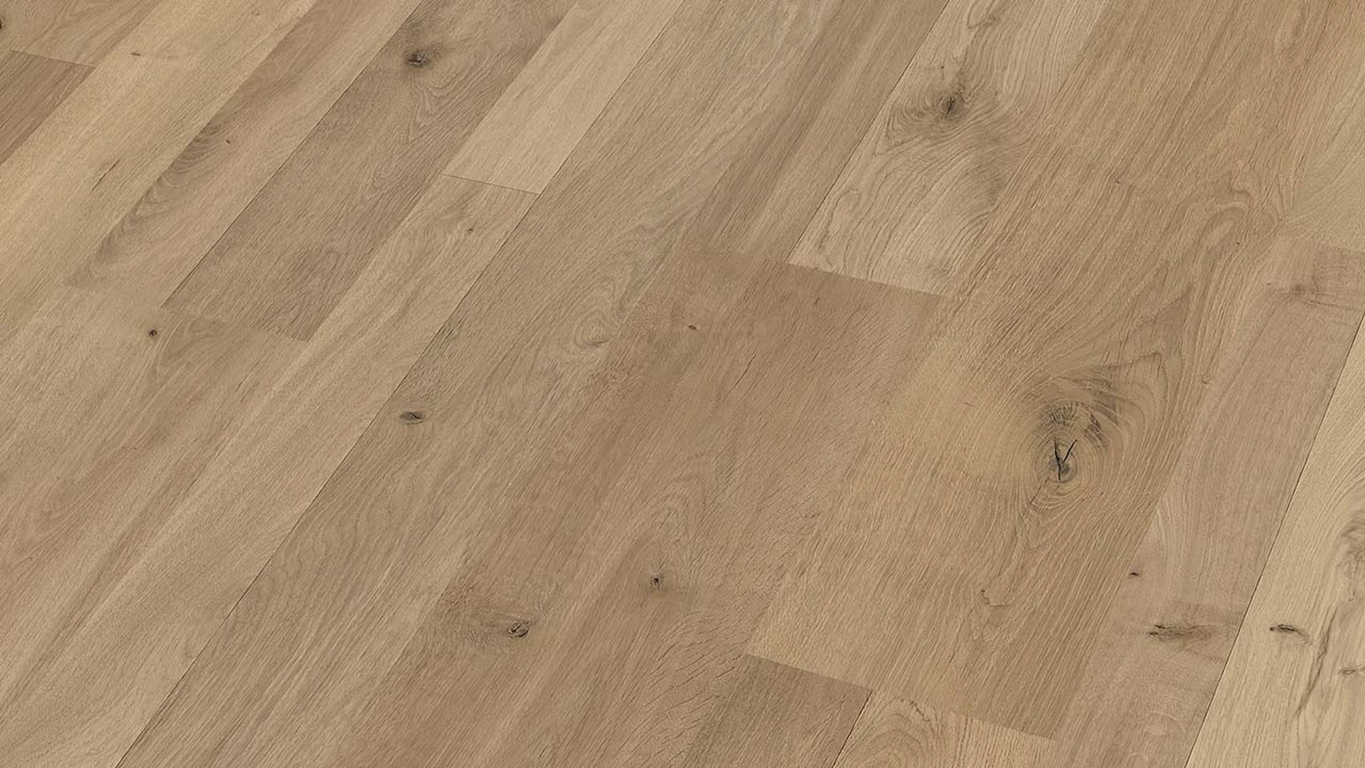 MEISTER Laminate flooring - MeisterDesign LC 55 Natural Oak 6675 (600012-1288198-06675)