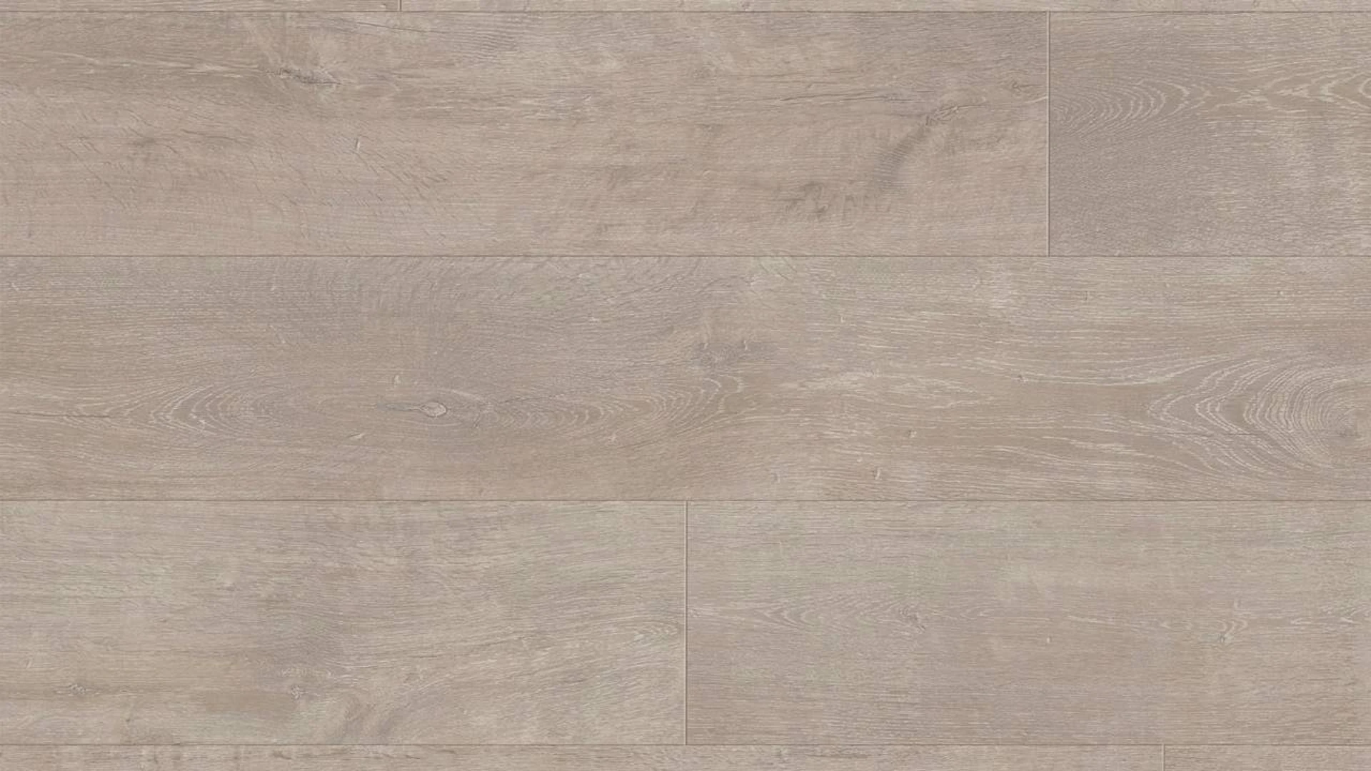 MEISTER Organic Flooring - MeisterDesign flex DD 400 / DB 400 Oak greige (5933006959)