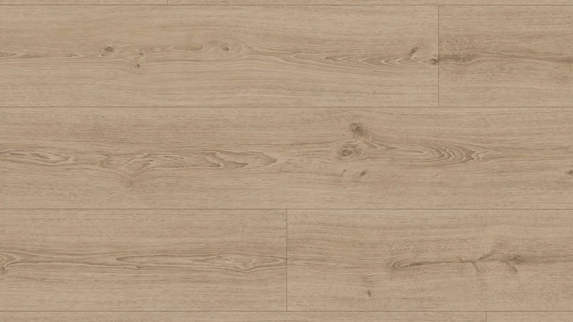 MEISTER Organic Flooring - MeisterDesign flex DD 400 / DB 400 Stone oak pure (400007-1290216-06985)