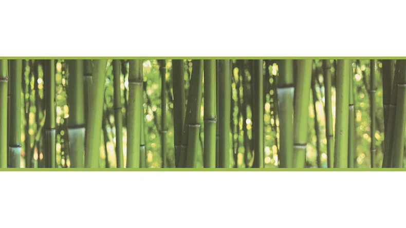 SK Folietapete Only Borders 11 Bilder Modern Grün 617