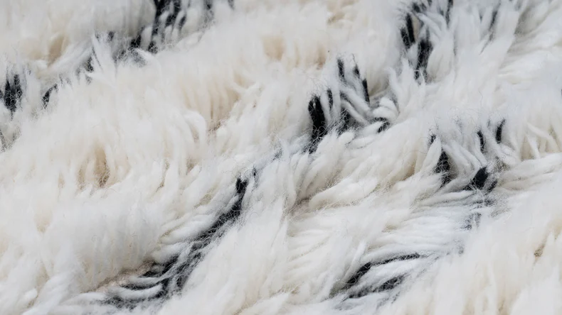 planeo Teppich - Casablanca 110 Natur / Elfenbein 120 x 170 cm